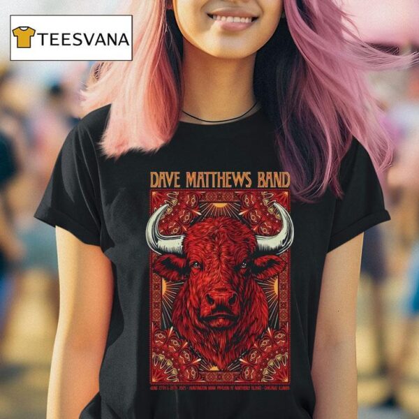 Dave Matthews Band Tour Chicago Illinois June Buffalo T Shirt