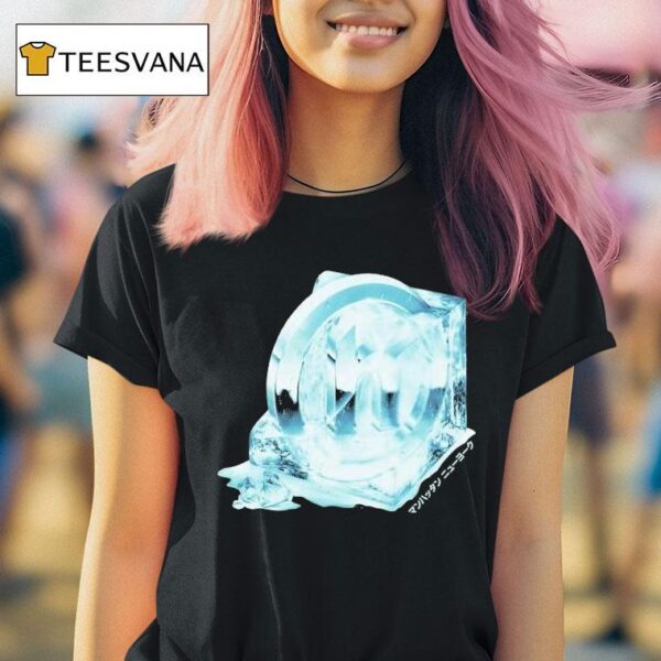 Hiddenp Below Zero T Shirt