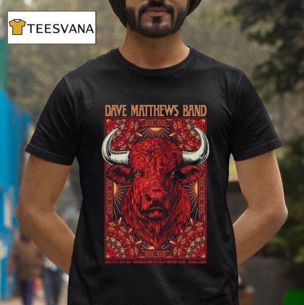 Dave Matthews Band Tour Chicago Illinois June Buffalo T Shirt
