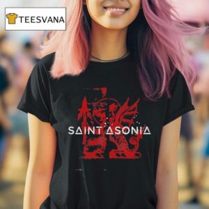 Saint Asonia Dragon T Shirt