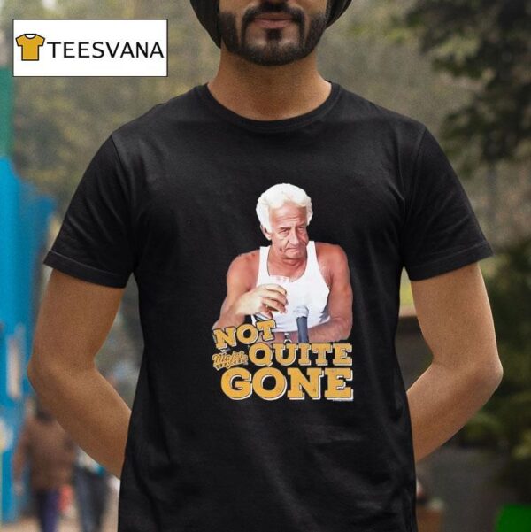 Harry Doyle Not Quite Gone Vintage T Shirt