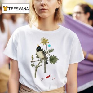 Keaton Henson Bird I M Ok T Shirt